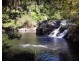 955 Terania Creek Road, Terania Creek NSW 2480