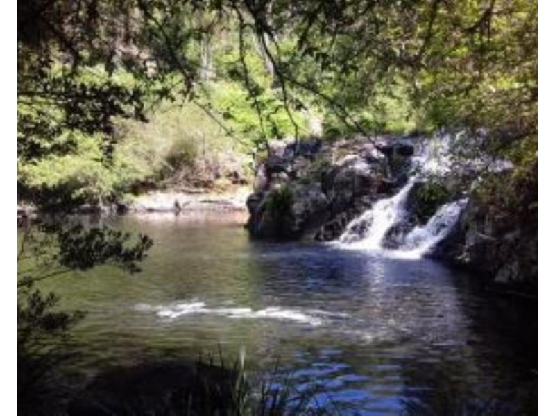 955 Terania Creek Road, Terania Creek NSW 2480