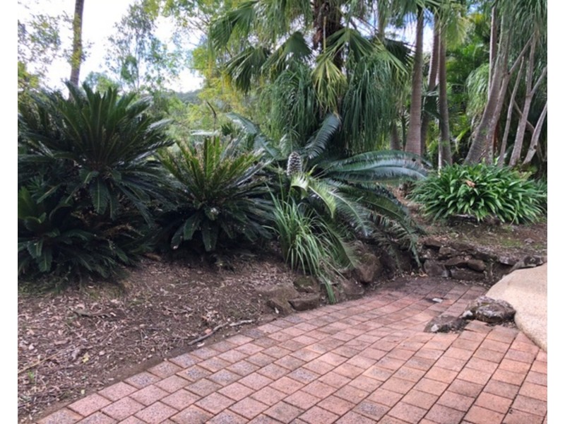 242 Chelmsford Road, Rock Valley NSW 2480