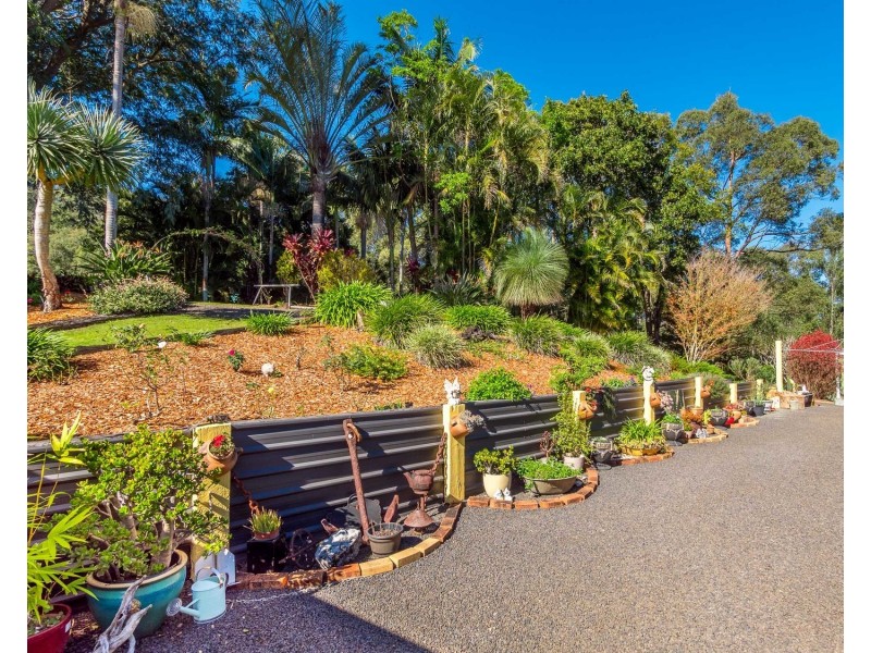 194 Quilty Road, Rock Valley NSW 2480