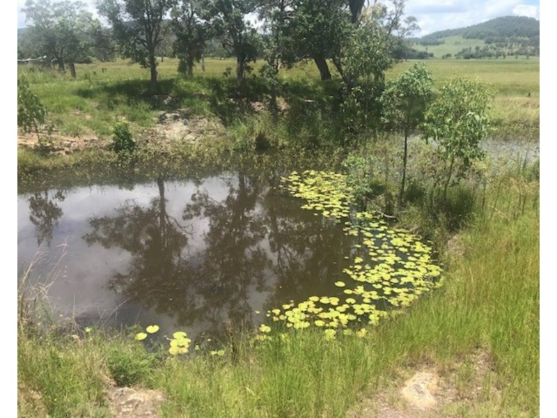 Lot 1 Bentley Road, Bentley NSW 2480