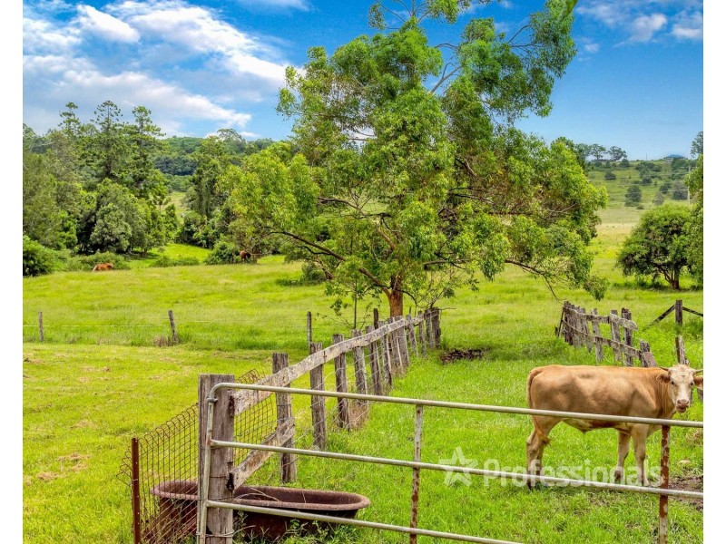 71 & 71A Booerie Creek Road, Booerie Creek NSW 2480