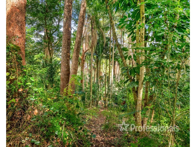 84 Hazlemount Lane, Tucki Tucki NSW 2480