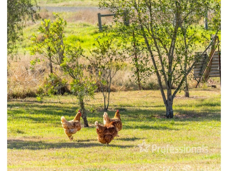 161 Northcott Road, South Gundurimba NSW 2480