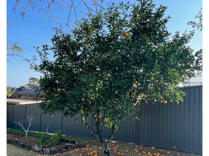 34 Dudley Drive, Goonellabah NSW 2480