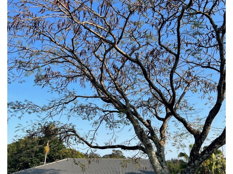 34 Dudley Drive, Goonellabah NSW 2480