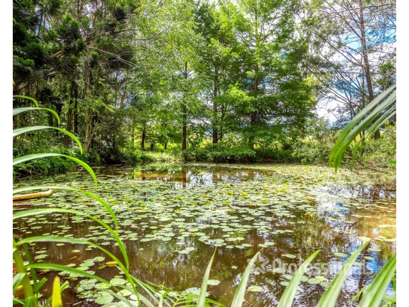 1 West Road, Nimbin NSW 2480