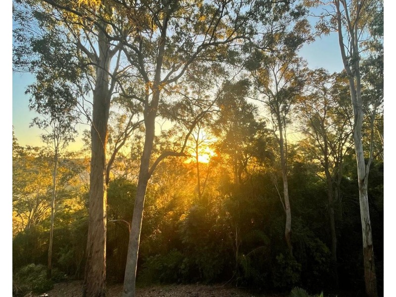 10A Hakea Court, Goonellabah NSW 2480
