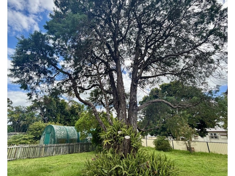 8 Fischer Street, Goonellabah NSW 2480