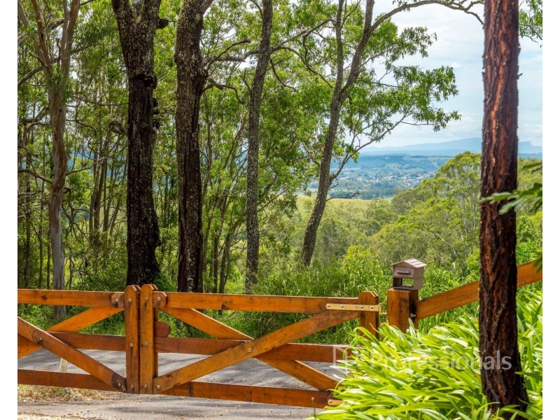 103 Skyline Road South, Monaltrie NSW 2480