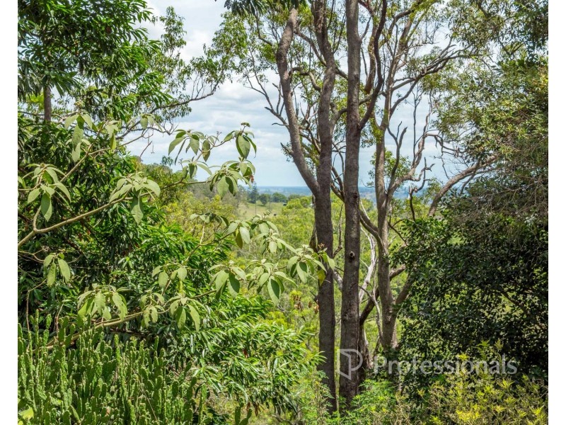 103 Skyline Road South, Monaltrie NSW 2480