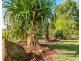 765 Tomki Tatham Road, Tatham NSW 2471