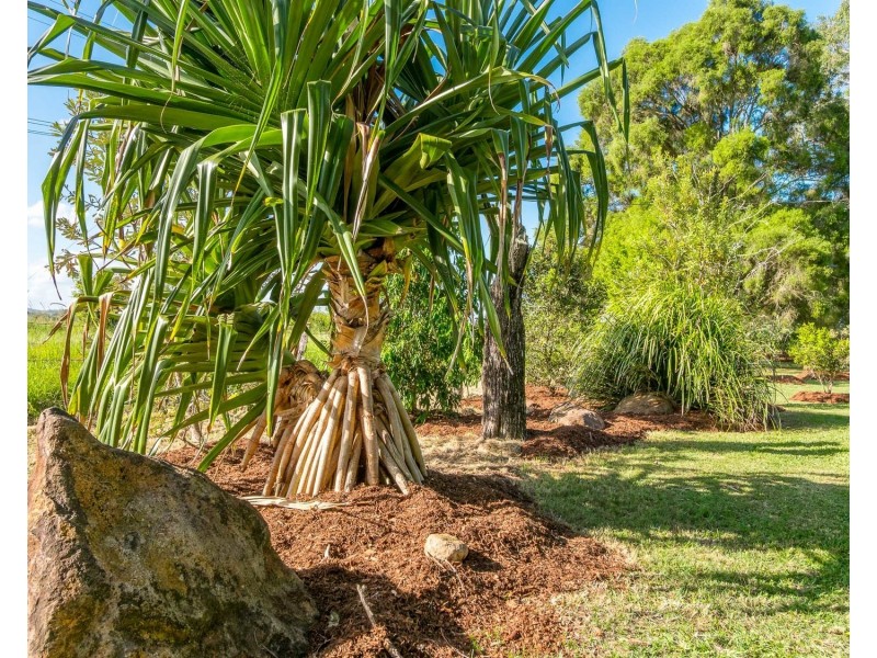 765 Tomki Tatham Road, Tatham NSW 2471