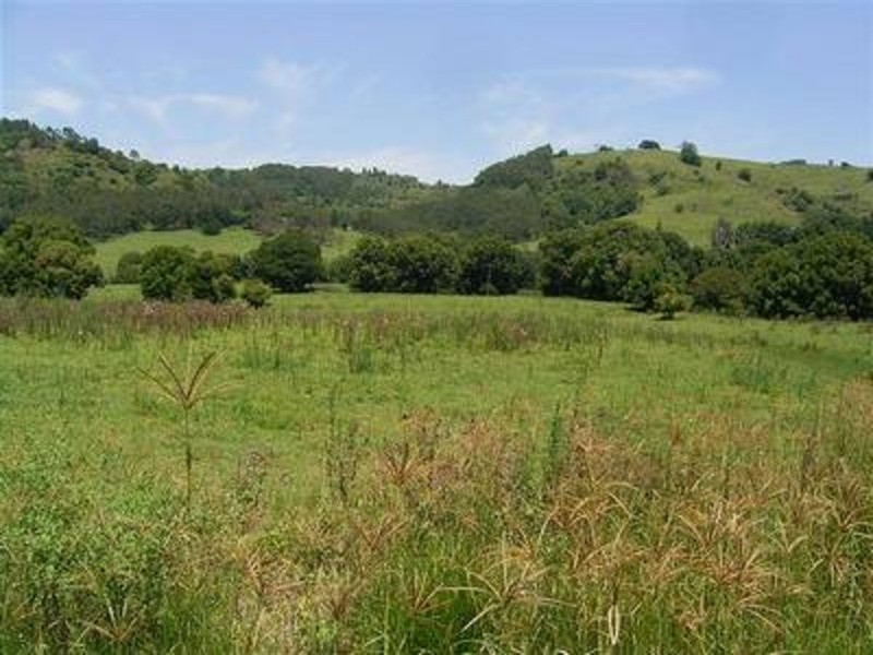 239 Tuntable Creek Road, The Channon NSW 2480