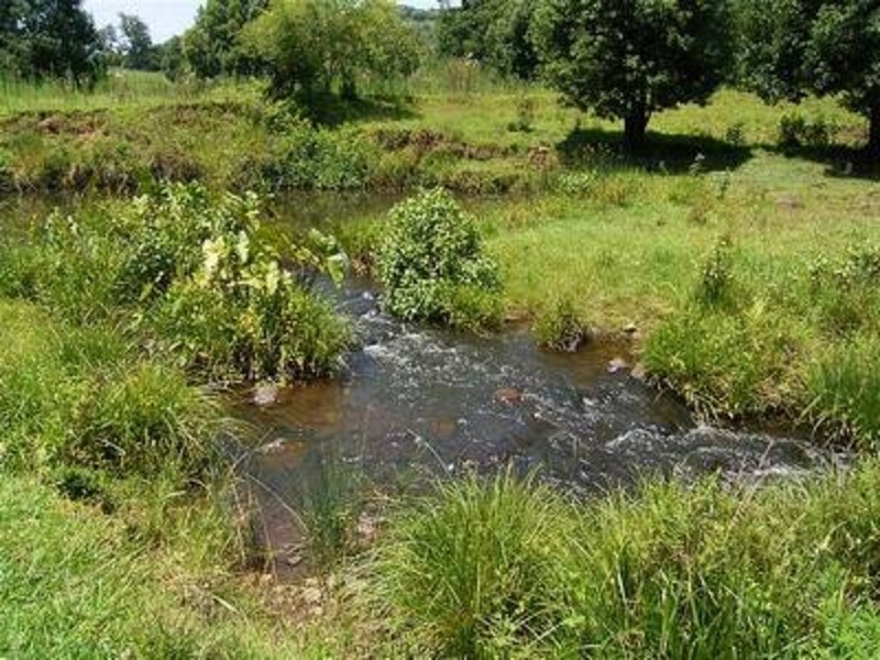 239 Tuntable Creek Road, The Channon NSW 2480