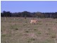 Lot 4 Vallances Road, Mullumbimby NSW 2482