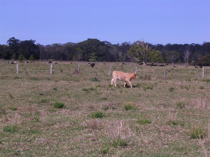 Lot 4 Vallances Road, Mullumbimby NSW 2482