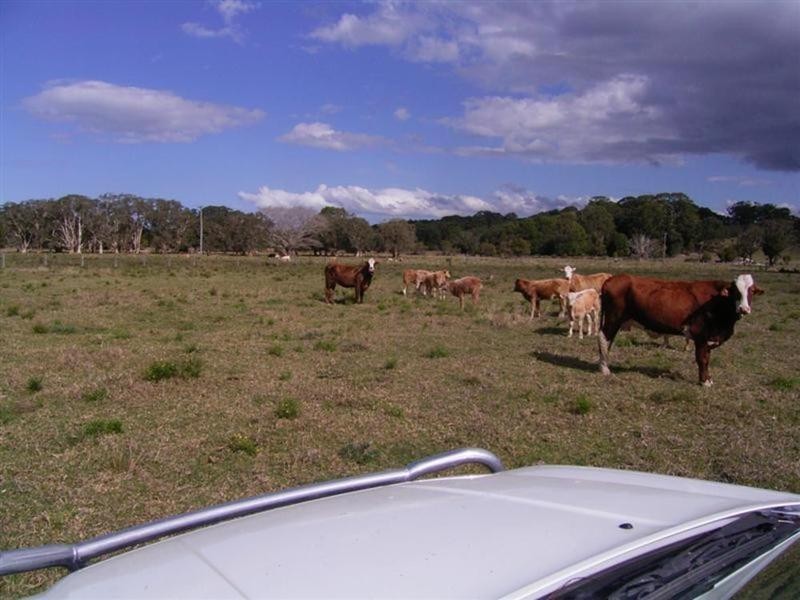 Lot 4 Vallances Road, Mullumbimby NSW 2482
