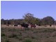 Lot 4 Vallances Road, Mullumbimby NSW 2482