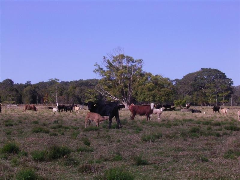 Lot 4 Vallances Road, Mullumbimby NSW 2482