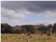 Lot 4 Vallances Road, Mullumbimby NSW 2482