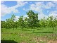 Lanitza NSW 2460