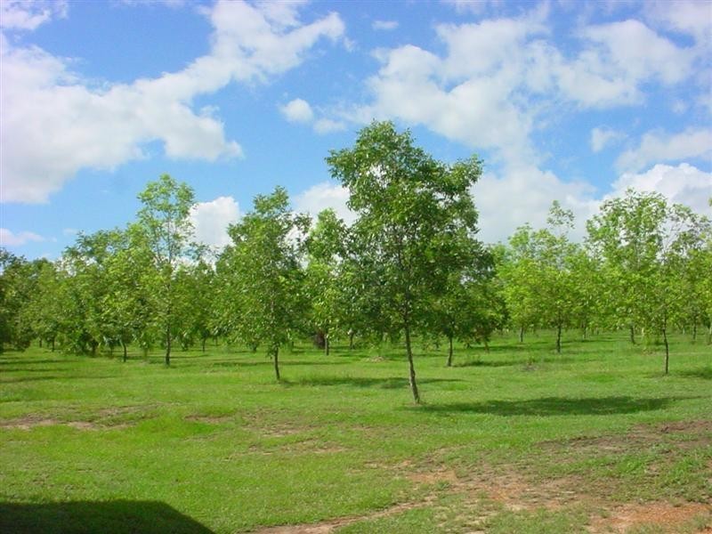 Lanitza NSW 2460