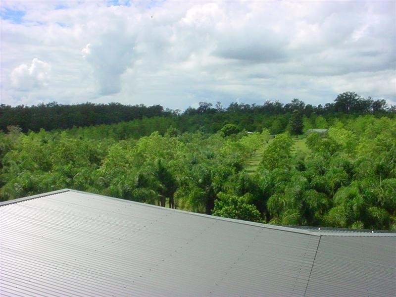 Lanitza NSW 2460