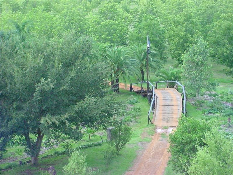 Lanitza NSW 2460