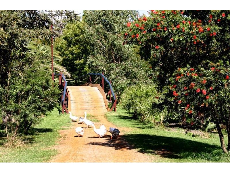 Lanitza NSW 2460