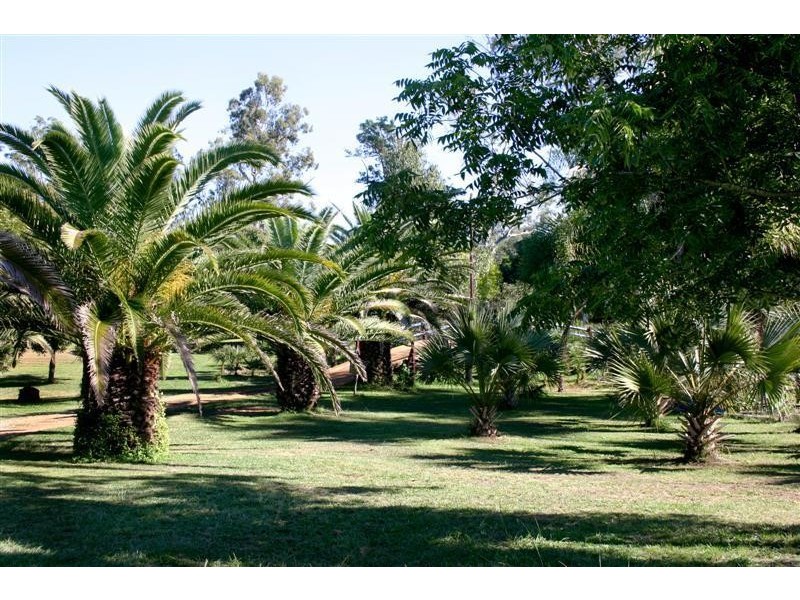 Lanitza NSW 2460