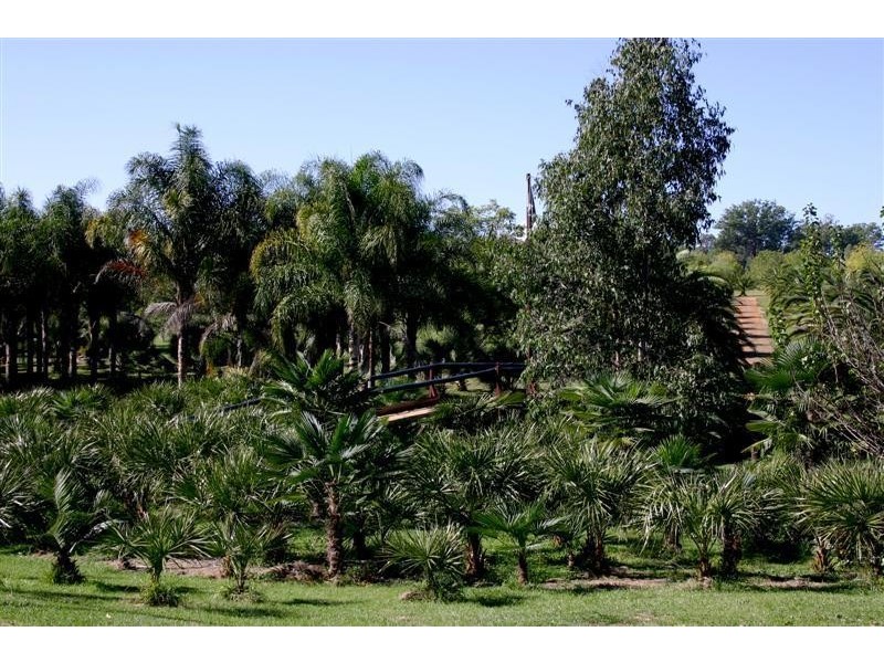Lanitza NSW 2460
