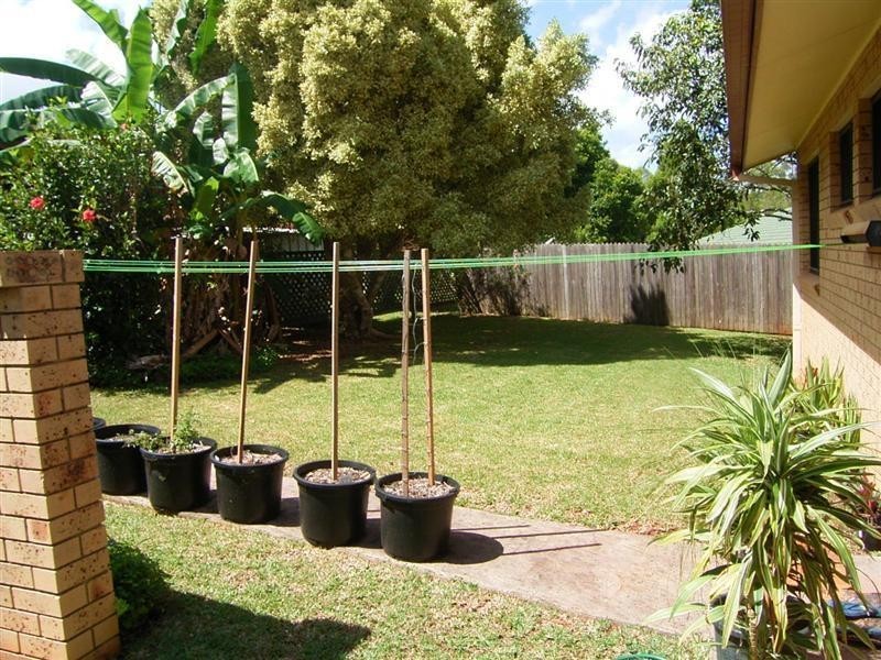 Goonellabah NSW 2480