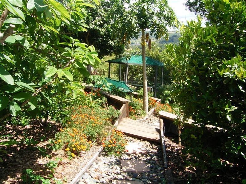 Lismore Heights NSW 2480