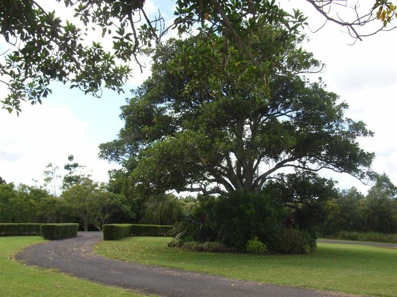 Mcleans Ridges NSW 2480