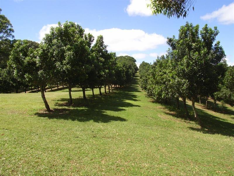 Mcleans Ridges NSW 2480