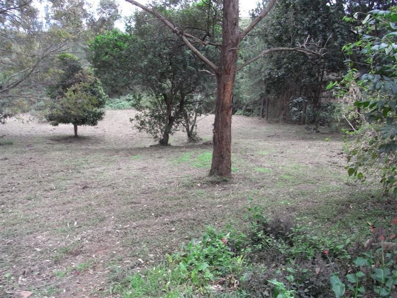 Goonellabah NSW 2480