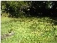 Lismore NSW 2480