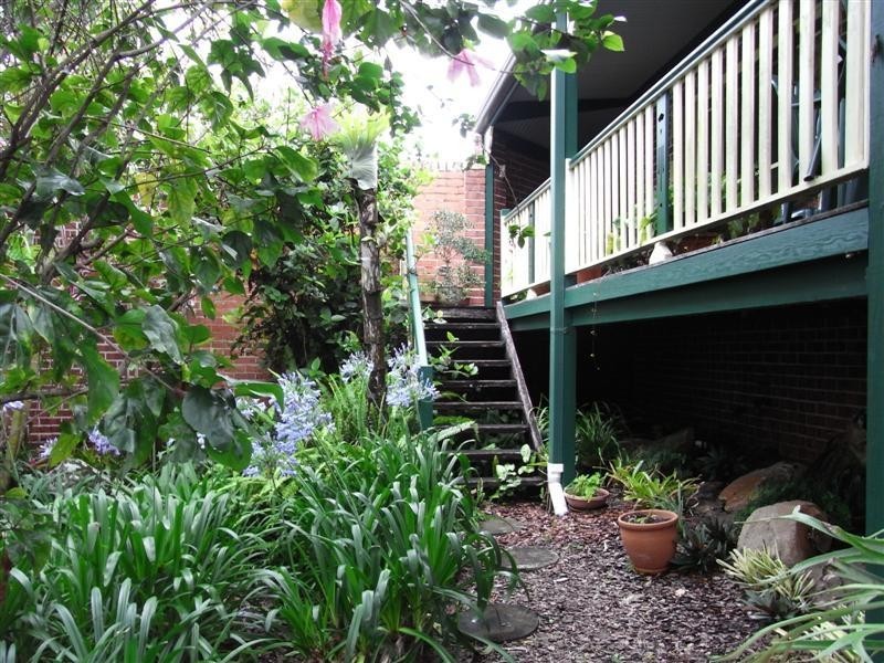 Lismore Heights NSW 2480