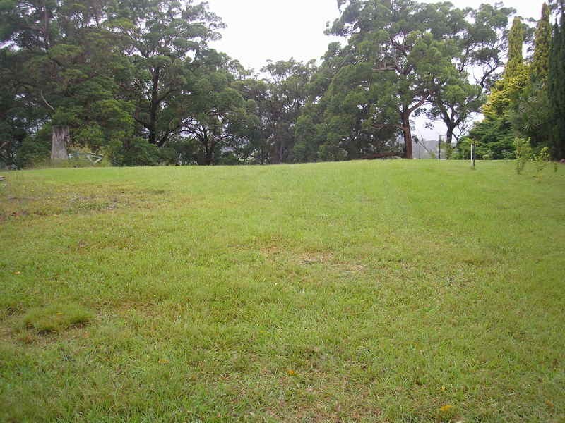 Richmond Hill NSW 2480