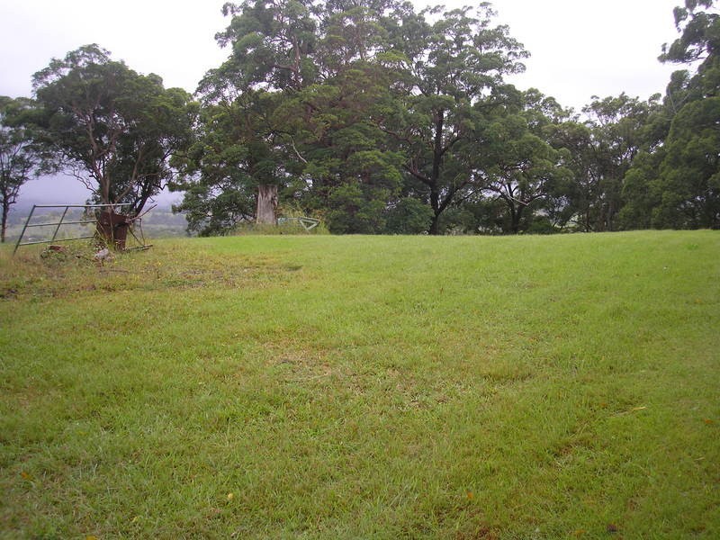 Richmond Hill NSW 2480