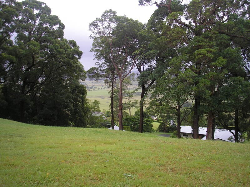 Richmond Hill NSW 2480