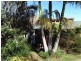 Eltham NSW 2480