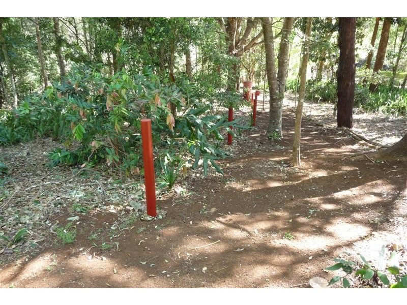 Chilcotts Grass NSW 2480