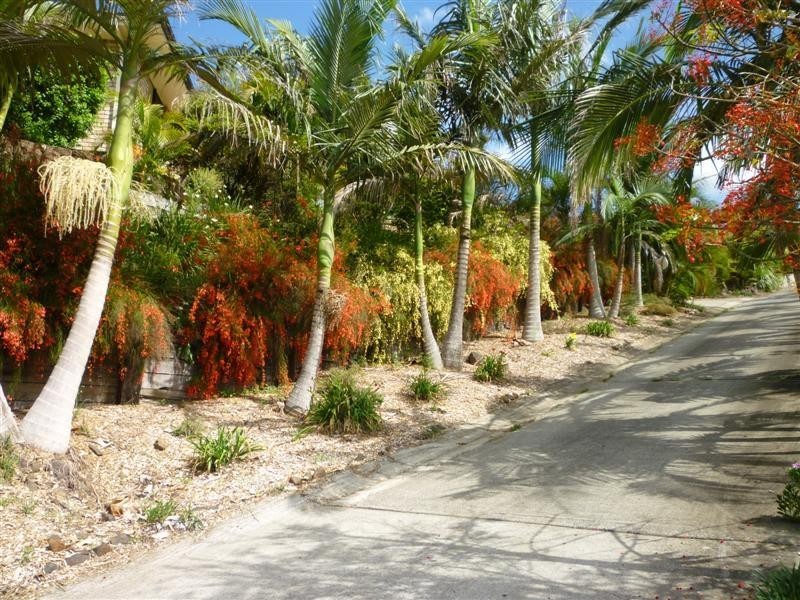 Lismore Heights NSW 2480