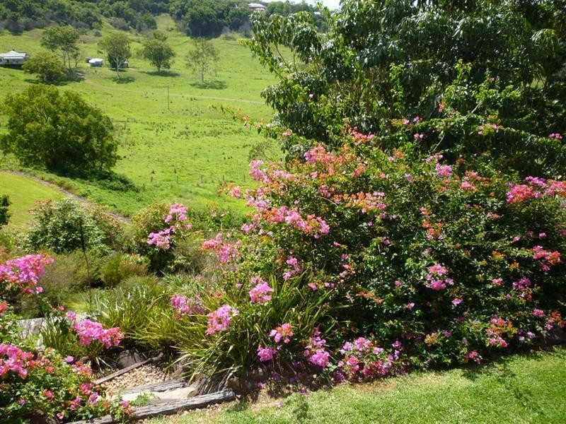 Lismore Heights NSW 2480