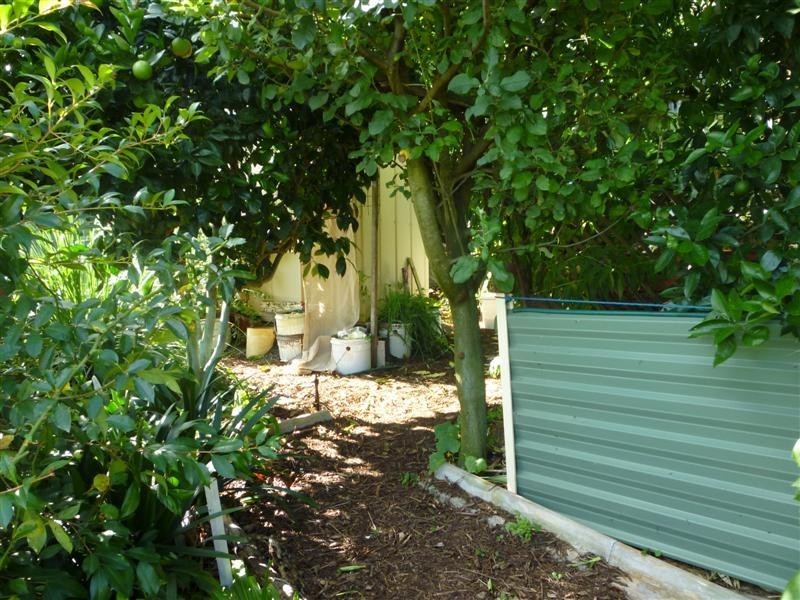 Goonellabah NSW 2480