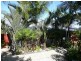 43 Basil Road, Nimbin NSW 2480