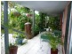 43 Basil Road, Nimbin NSW 2480