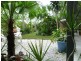 43 Basil Road, Nimbin NSW 2480